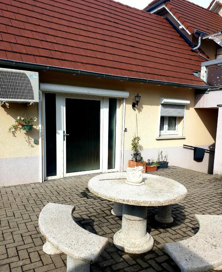 Appartement Proche D'Europa Park/Marches De Noel Rhinau Exterior foto